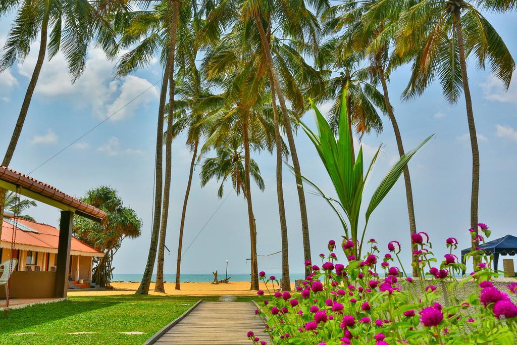 Amagi Beach - Secluded Slice Of Paradise Marawila Kültér fotó