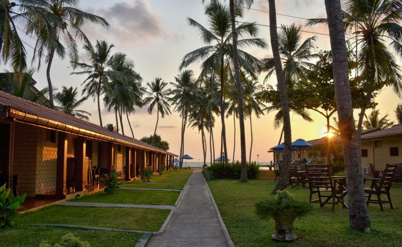 Amagi Beach - Secluded Slice Of Paradise Marawila Kültér fotó