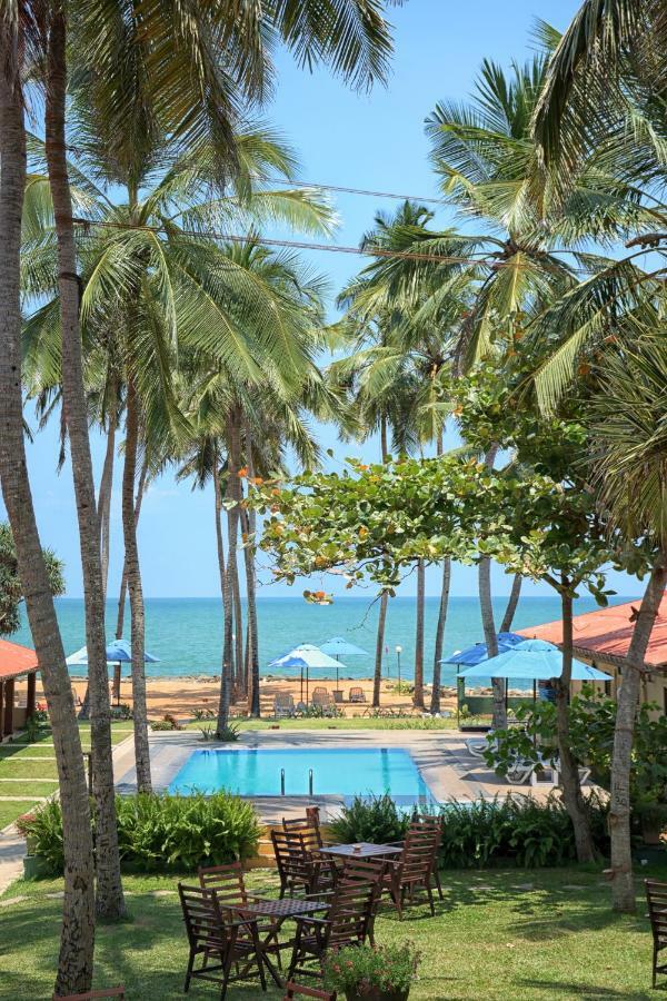 Amagi Beach - Secluded Slice Of Paradise Marawila Kültér fotó