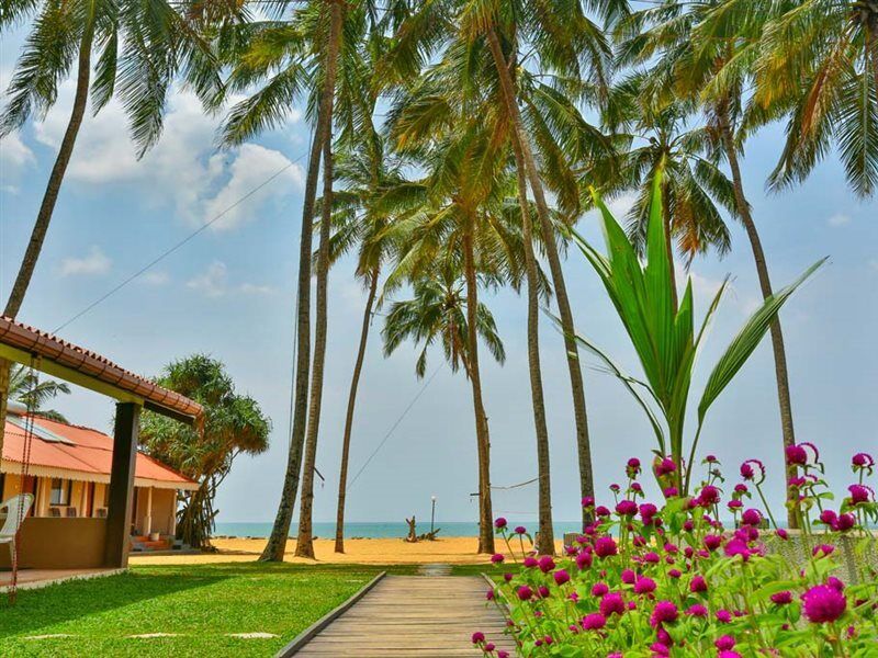Amagi Beach - Secluded Slice Of Paradise Marawila Kültér fotó